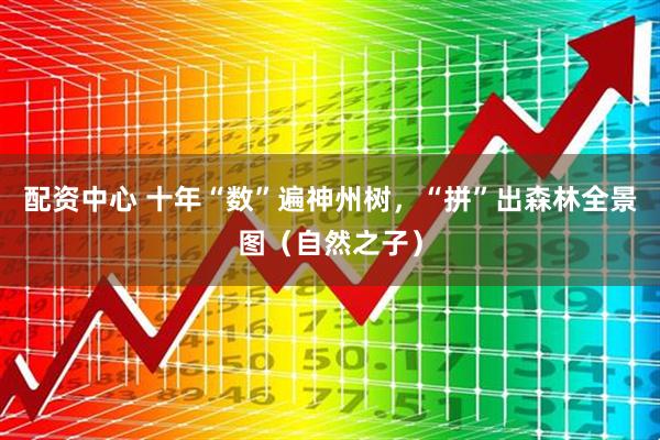 配资中心 十年“数”遍神州树，“拼”出森林全景图（自然之子）