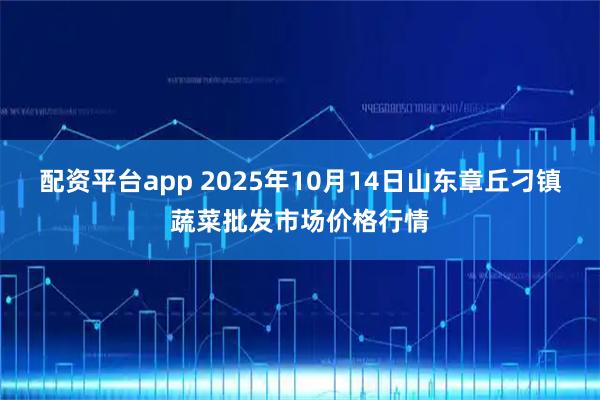 配资平台app 2025年10月14日山东章丘刁镇蔬菜批发市场价格行情