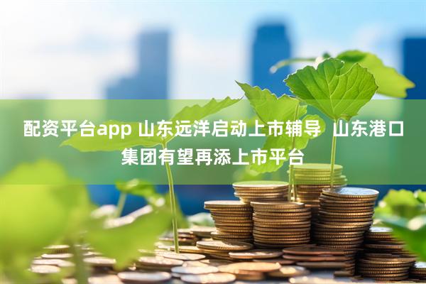 配资平台app 山东远洋启动上市辅导 山东港口集团有望再添上市平台