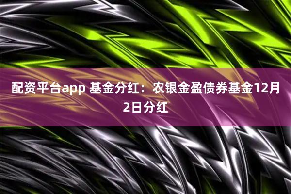 配资平台app 基金分红：农银金盈债券基金12月2日分红