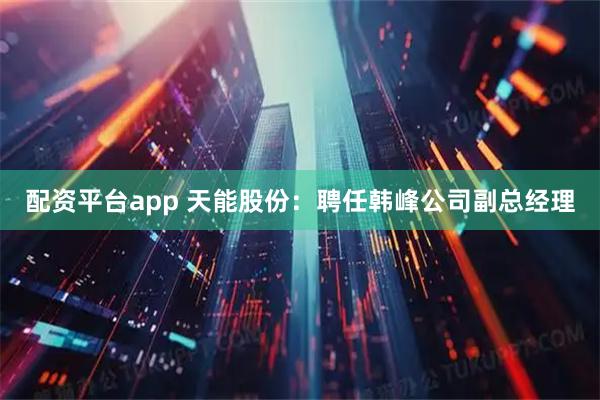 配资平台app 天能股份：聘任韩峰公司副总经理