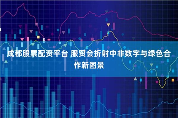 成都股票配资平台 服贸会折射中非数字与绿色合作新图景
