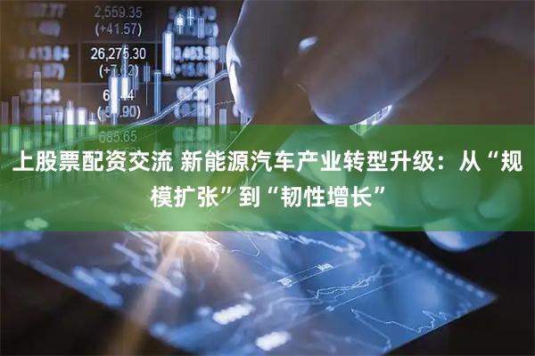 上股票配资交流 新能源汽车产业转型升级：从“规模扩张”到“韧性增长”