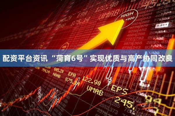配资平台资讯 “菏育6号”实现优质与高产协同改良