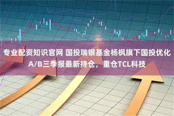 专业配资知识官网 国投瑞银基金杨枫旗下国投优化A/B三季报最新持仓，重仓TCL科技